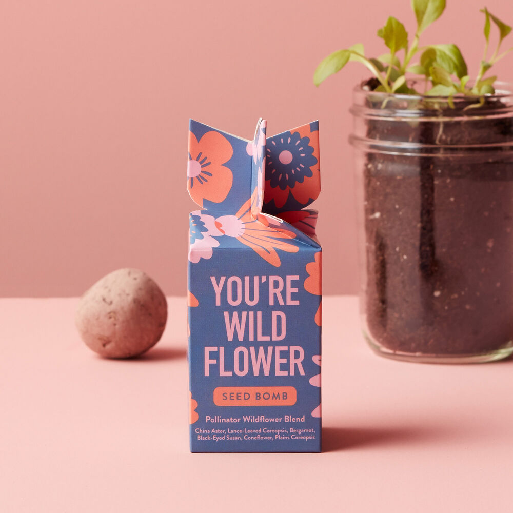Modern Sprout You're Wild Seed Bomb...Plant and Watch Grow! image number null