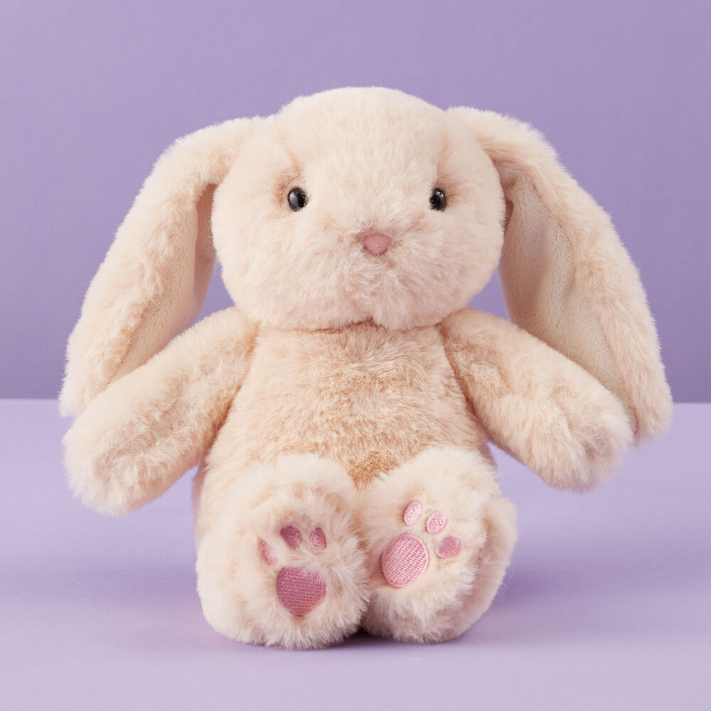 Little Bunny Gift Basket Stuffed Bunny image number null