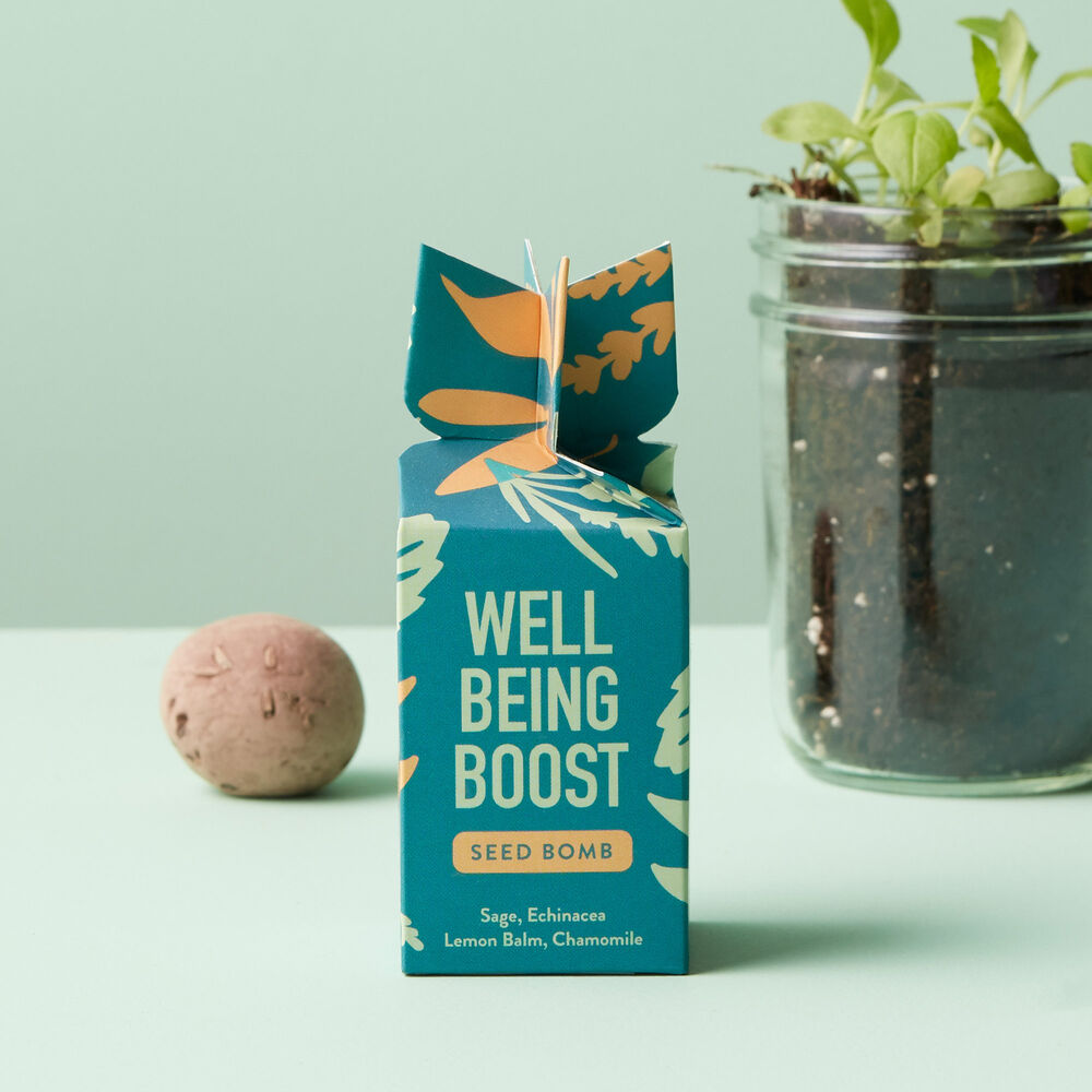 Modern Sprout Well Being Boost Seed Bomb...Plant and Watch Grow! image number null